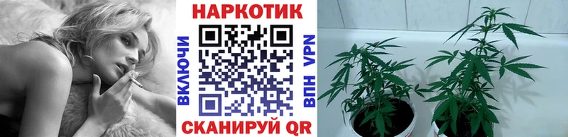 Купить закладку А ПВП КОКАИН Меф мяу мяу ГАШИШ Касли