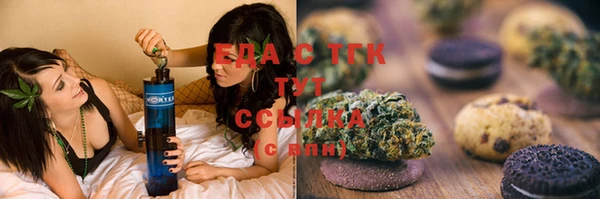 тгк Ельня