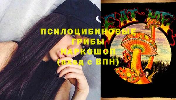 бутират Елабуга