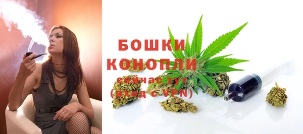 тгк Ельня