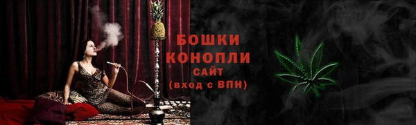 тгк Ельня