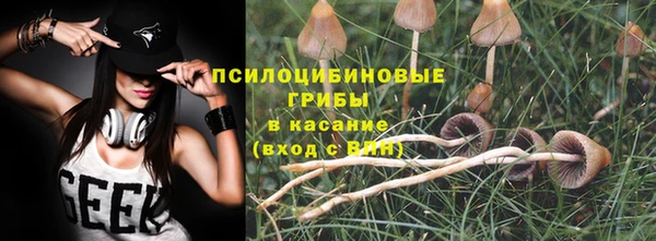 бутират Елабуга
