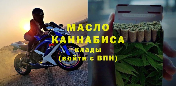 тгк Ельня