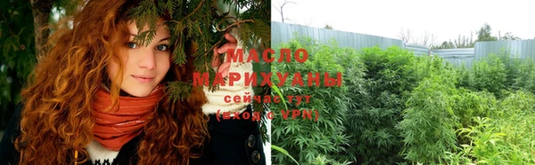 тгк Ельня
