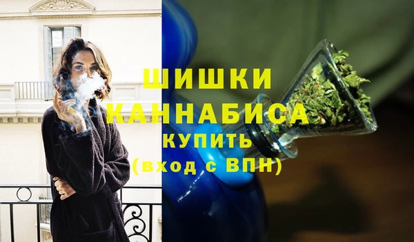тгк Ельня