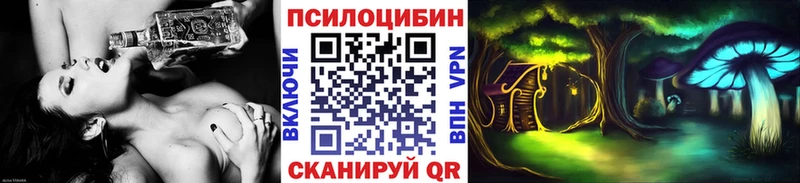 Купить где  Касли  Галлюциногенные грибы Psilocybine cubensis 
